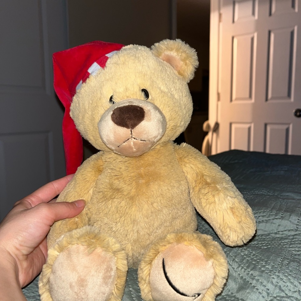 Holiday Teddy Bear